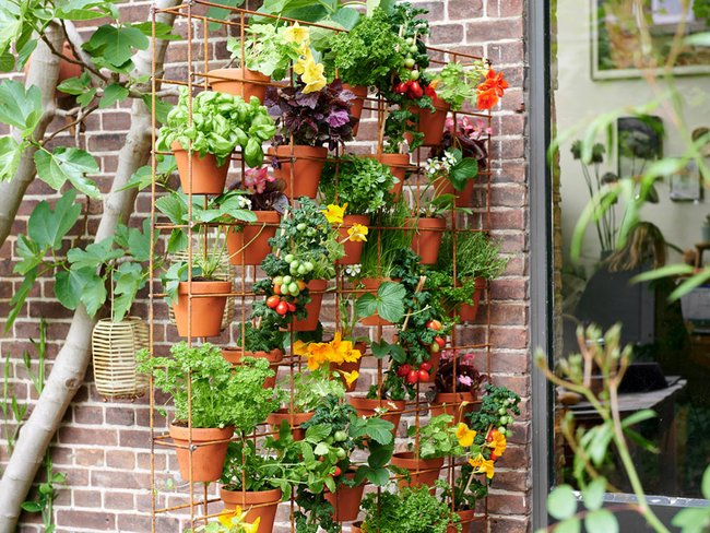 De eetbare tuin