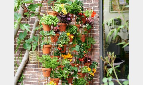 De eetbare tuin