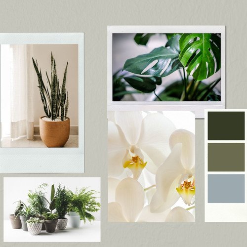 KAMERPLANTEN