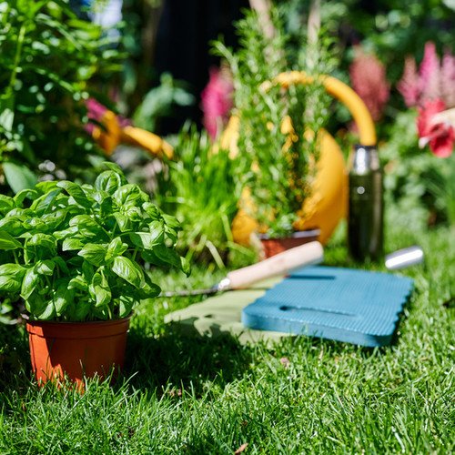 De buitenplanten uit De Trend Collectie lente/ zomer 2023
