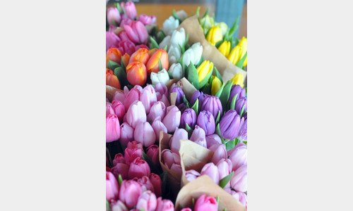 Haal de lente in huis met voorjaarsbloemen
